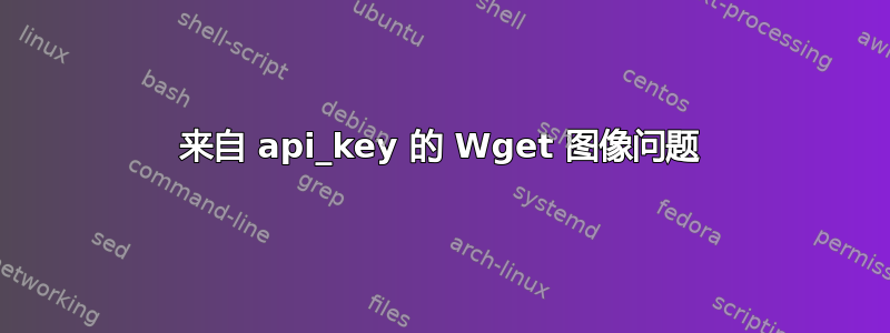 来自 api_key 的 Wget 图像问题