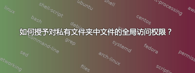 如何授予对私有文件夹中文件的全局访问权限？