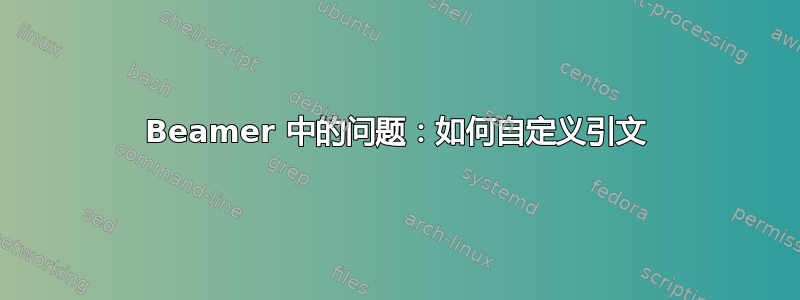 Beamer 中的问题：如何自定义引文