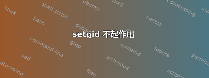 setgid 不起作用