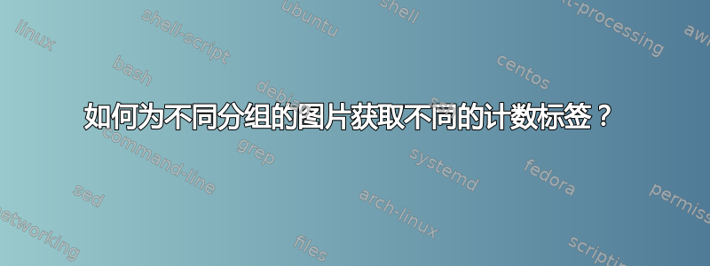 如何为不同分组的图片获取不同的计数标签？