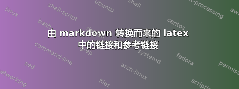 由 markdown 转换而来的 latex 中的链接和参考链接