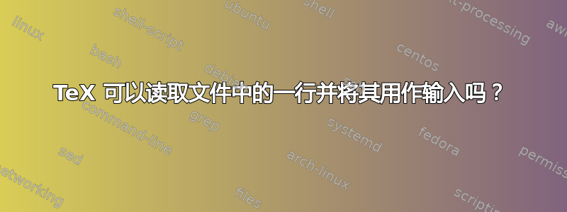 TeX 可以读取文件中的一行并将其用作输入吗？