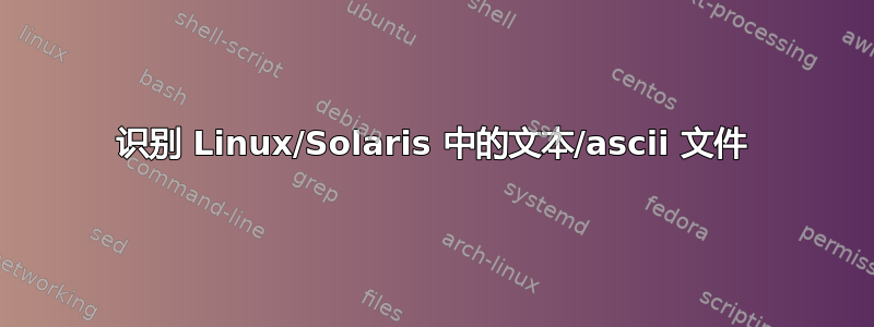 识别 Linux/Solaris 中的文本/ascii 文件