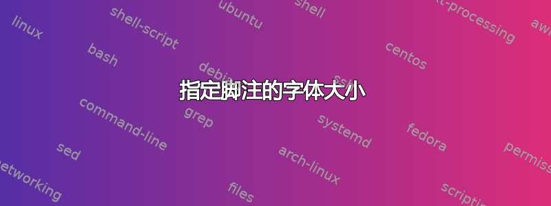 指定脚注的字体大小