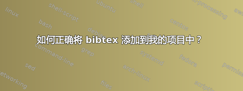 如何正确将 bibtex 添加到我的项目中？