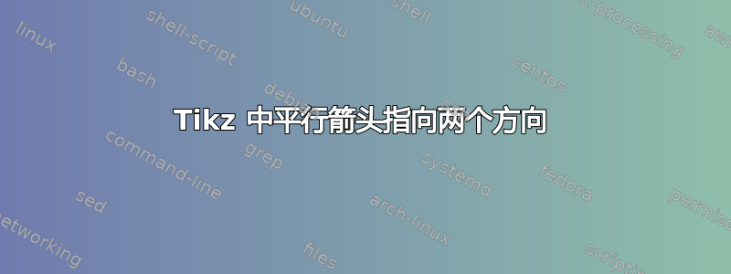 Tikz 中平行箭头指向两个方向