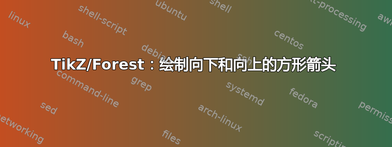 TikZ/Forest：绘制向下和向上的方形箭头