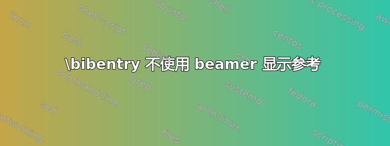 \bibentry 不使用 beamer 显示参考