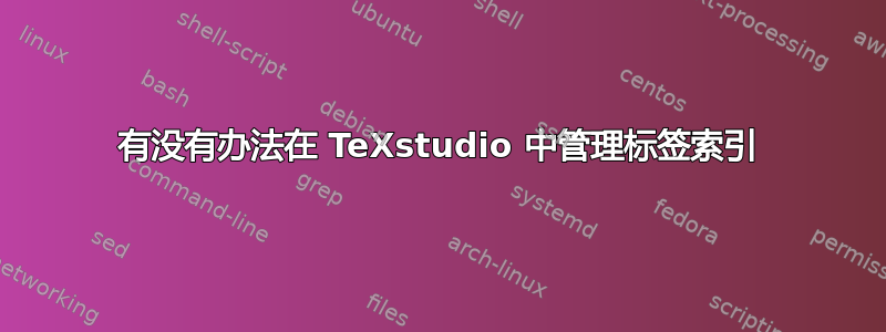 有没有办法在 TeXstudio 中管理标签索引