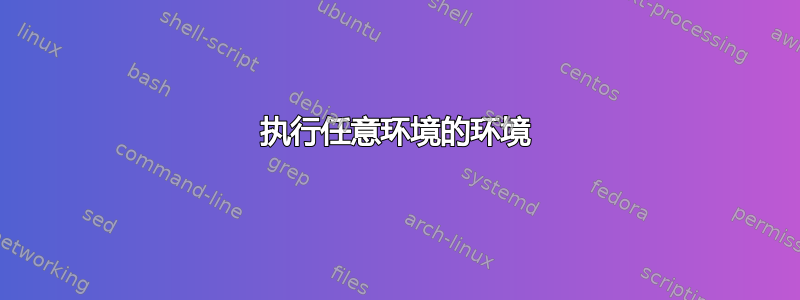 执行任意环境的环境