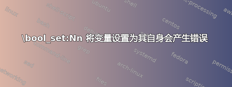 \bool_set:Nn 将变量设置为其自身会产生错误