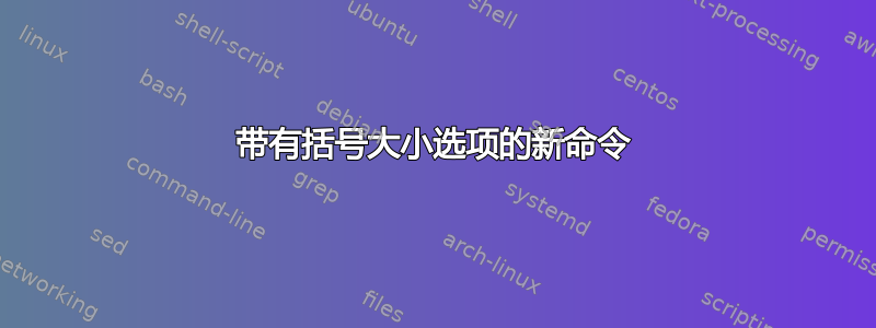 带有括号大小选项的新命令