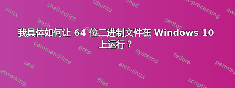 我具体如何让 64 位二进制文​​件在 Windows 10 上运行？