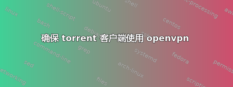 确保 torrent 客户端使用 openvpn