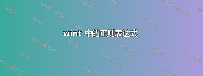 wint 中的正则表达式