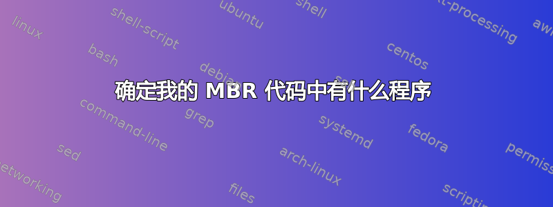 确定我的 MBR 代码中有什么程序