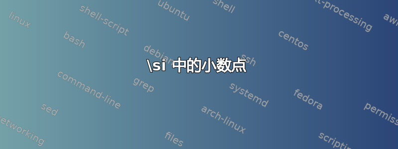 \si 中的小数点