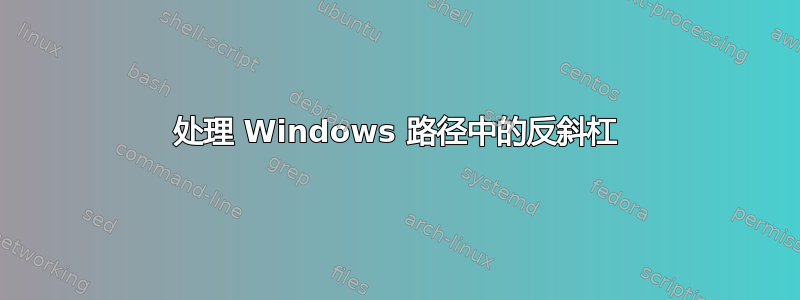 处理 Windows 路径中的反斜杠