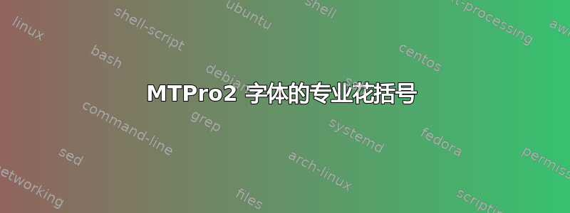 MTPro2 字体的专业花括号