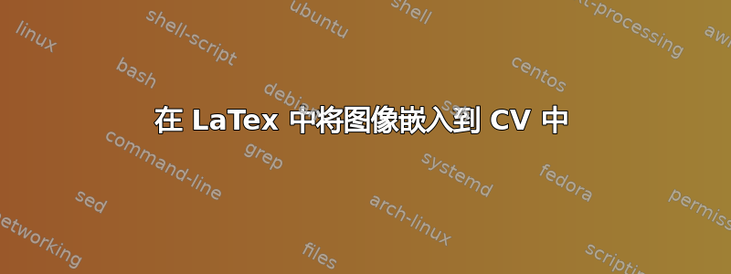 在 LaTex 中将图像嵌入到 CV 中