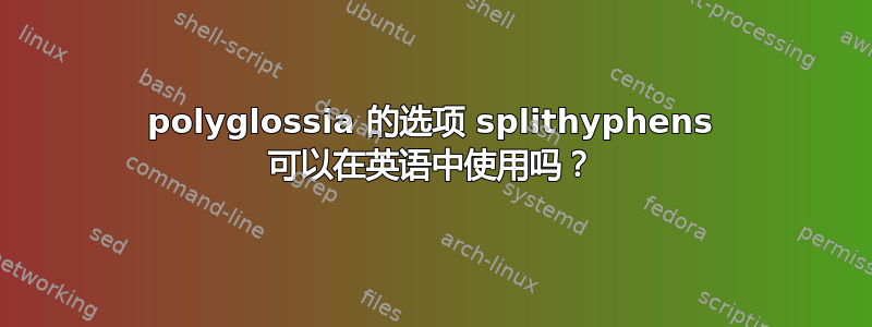 polyglossia 的选项 splithyphens 可以在英语中使用吗？