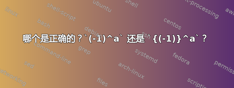 哪个是正确的？`(-1)^a` 还是 `{(-1)}^a`？