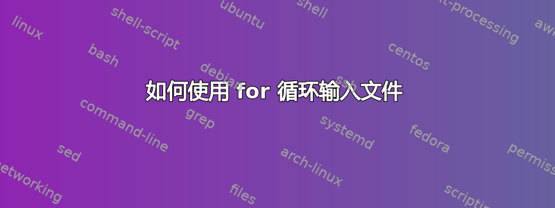 如何使用 for 循环输入文件