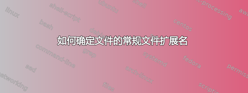 如何确定文件的常规文件扩展名