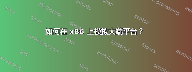 如何在 x86 上模拟大端平台？