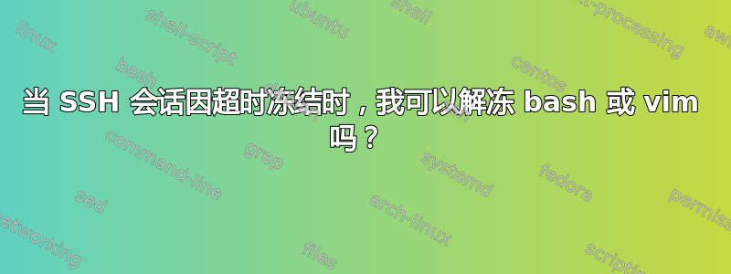 当 SSH 会话因超时冻结时，我可以解冻 bash 或 vim 吗？ 