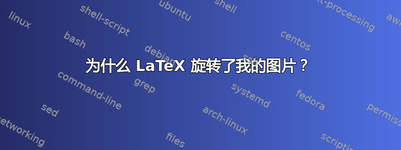 为什么 LaTeX 旋转了我的图片？