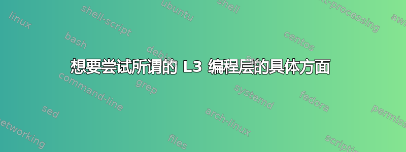 想要尝试所谓的 L3 编程层的具体方面