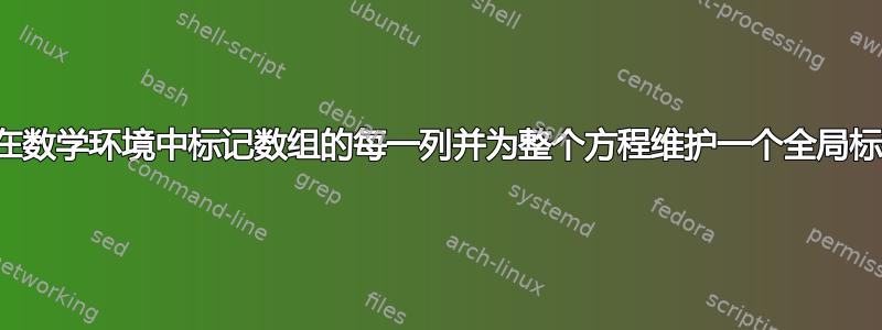 如何在数学环境中标记数组的每一列并为整个方程维护一个全局标签？