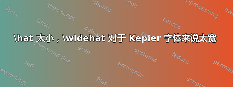 \hat 太小，\widehat 对于 Kepler 字体来说太宽