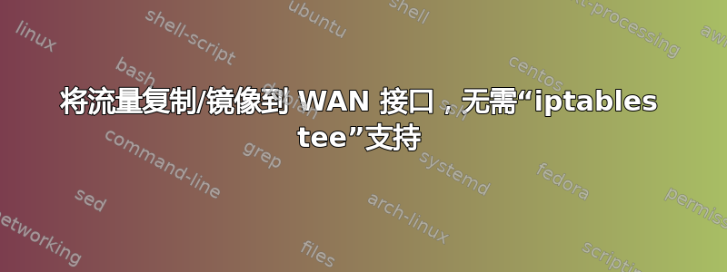 将流量复制/镜像到 WAN 接口，无需“iptables tee”支持