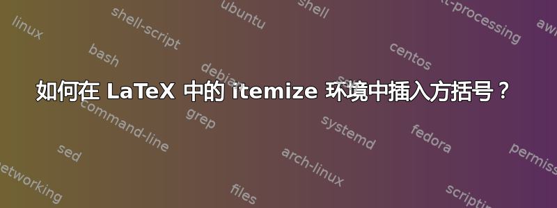 如何在 LaTeX 中的 itemize 环境中插入方括号？