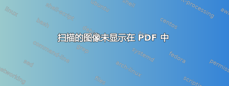 扫描的图像未显示在 PDF 中