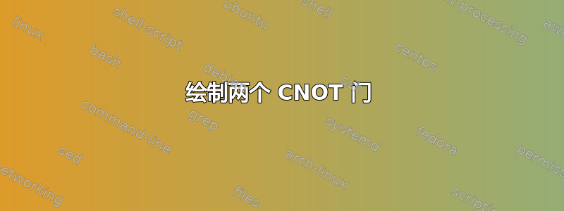 绘制两个 CNOT 门