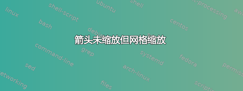 箭头未缩放但网格缩放