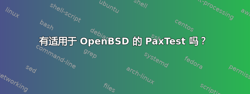 有适用于 OpenBSD 的 PaxTest 吗？