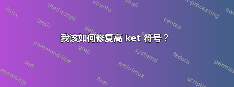 我该如何修复高 ket 符号？