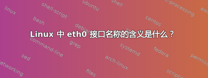 Linux 中 eth0 接口名称的含义是什么？