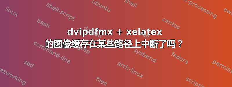 dvipdfmx + xelatex 的图像缓存在某些路径上中断了吗？