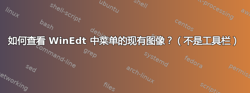 如何查看 WinEdt 中菜单的现有图像？（不是工具栏）