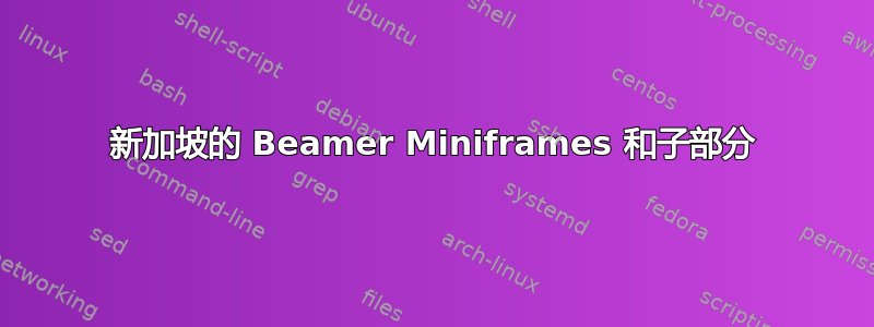 新加坡的 Beamer Miniframes 和子部分