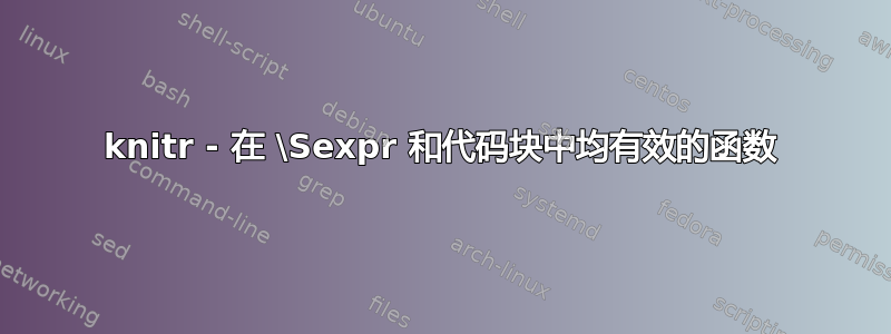 knitr - 在 \Sexpr 和代码块中均有效的函数