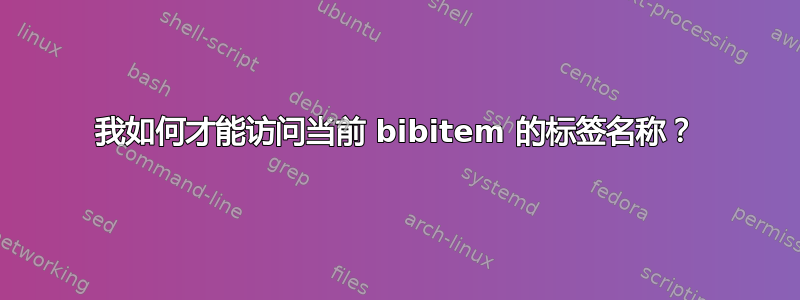 我如何才能访问当前 bibitem 的标签名称？