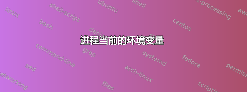 进程当前的环境变量