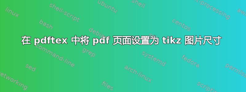 在 pdftex 中将 pdf 页面设置为 tikz 图片尺寸